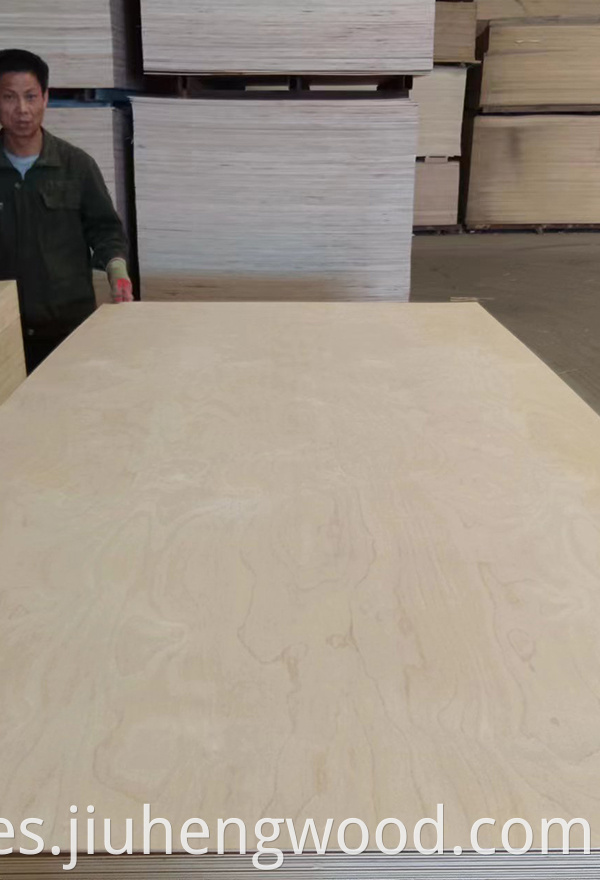 Birch Plywood